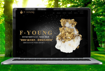 פ���긩�����ﱦʯ